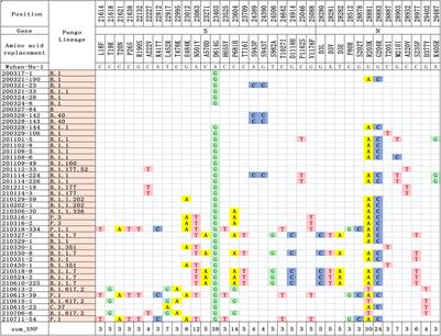 Mutations and Phylogenetic Analyses of SARS-CoV-2 Among Imported COVID-19 From Abroad in Nanjing, China